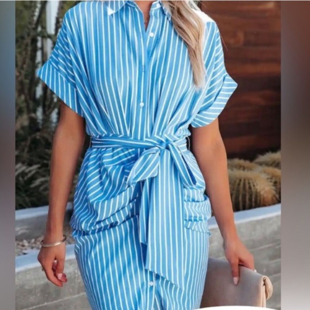 Vici Collared Belted Ruched Striped Shirtdress Bu… - image 3